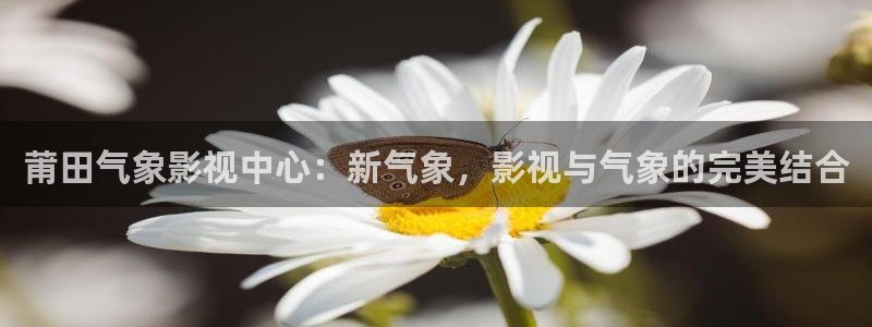 红桃影院在线免费观看