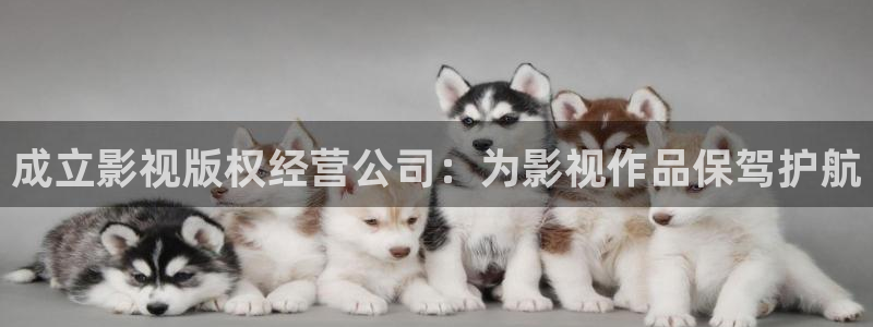 51红桃视频