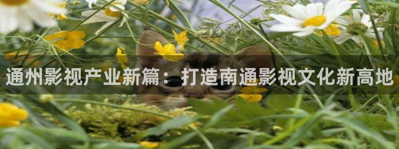蜜桃影视红桃影视