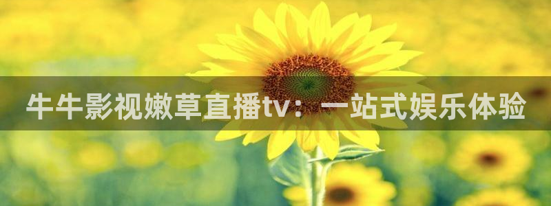 红桃影院一区